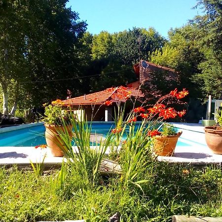 Cabanas Los Platanos La Granja Eksteriør billede