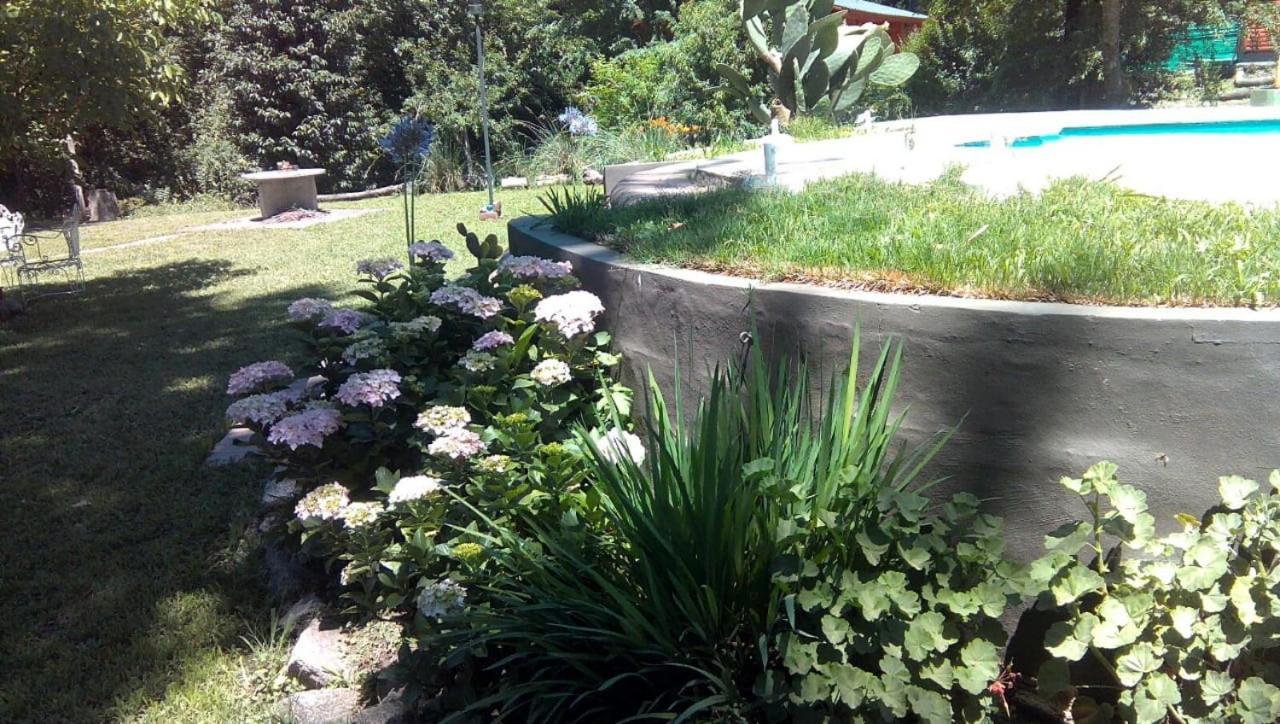Cabanas Los Platanos La Granja Eksteriør billede