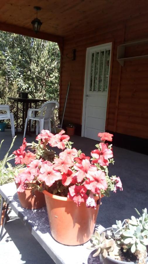 Cabanas Los Platanos La Granja Eksteriør billede