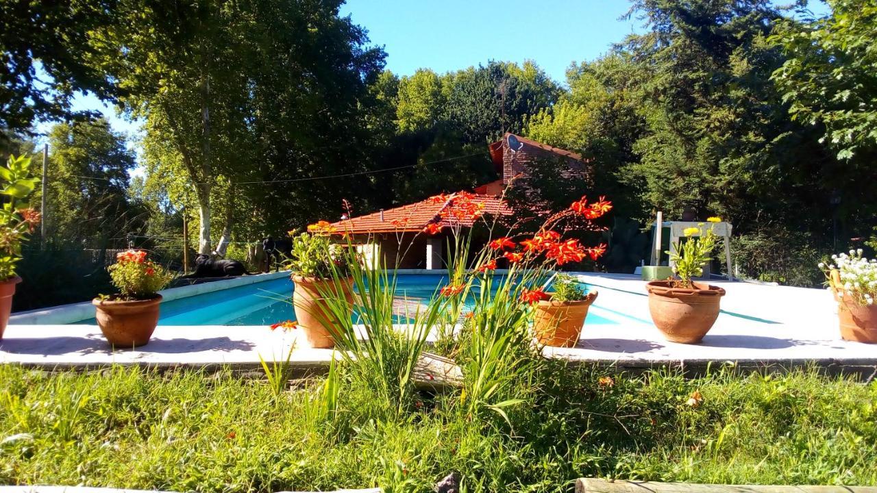 Cabanas Los Platanos La Granja Eksteriør billede