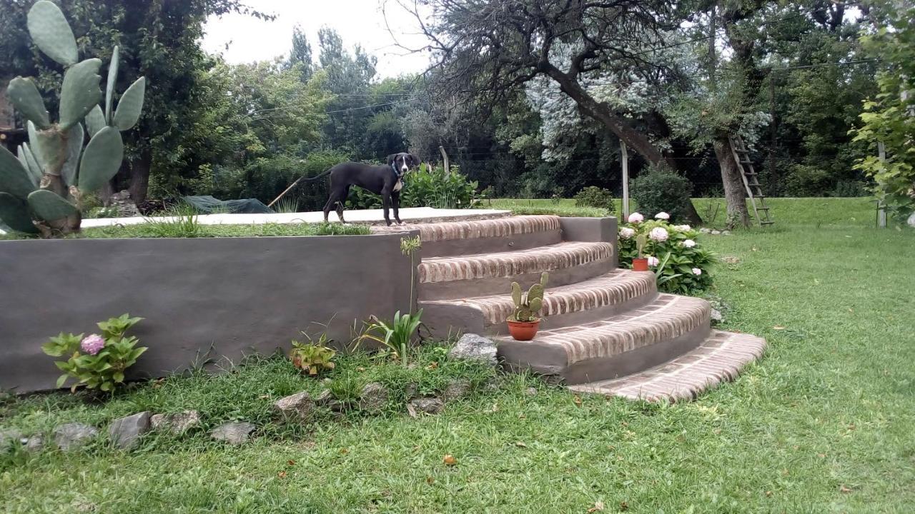 Cabanas Los Platanos La Granja Eksteriør billede